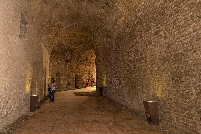 Private Day Tour : Tarragona in Times of the Roman Empire - Inclusions