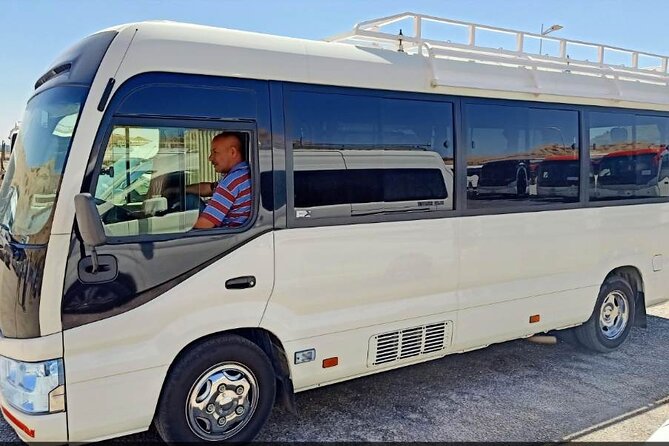 Private Day Tour To Abu Simbel From Aswan - Pricing and Group Size