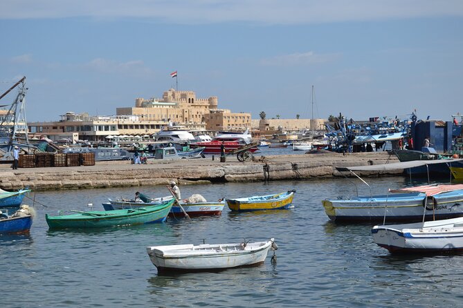 Private Day Tour to Alamein and Alexandria From Cairo - Tour Highlights