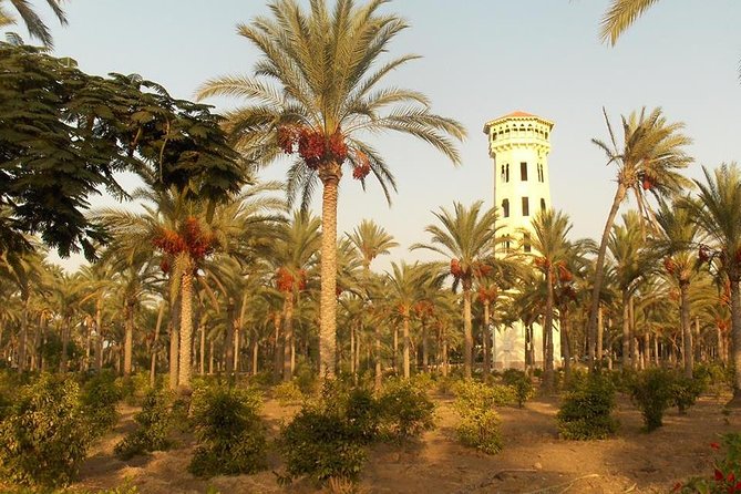 Private Day Tour to Alexandria From Alexandria - Meeting and Pickup Details