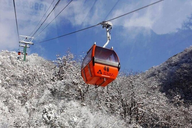 Private Day Tour to Beijing Mutianyu Great Wall - Reviews