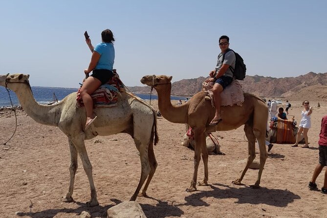 Private Day Tour To Blue Lagoon And Ras Abu Galum From Dahab - Booking Information