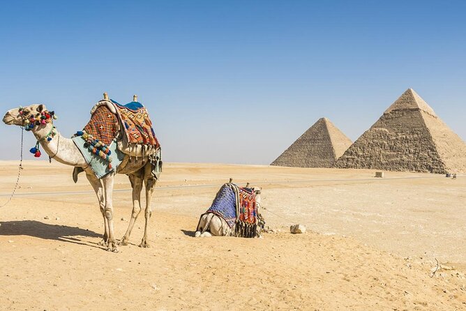 Private Day Tour to Cairo With Flights and Lunch From Hurghada - Tour Overview