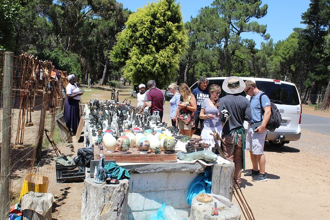 Private Day Tour to Cape of Good Hope Penguins Inc Entry Tickets From Cape Town - Cancellation Policy and Changes