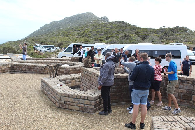 Private Day Tour to Cape of Good Hope Penguins Inc Entry Tickets From Cape Town - Traveler Photos for Credibility