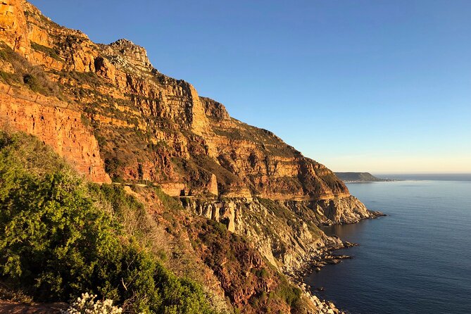 Private Day Tour to Cape of Good Hope, Penguins, Wine Tasting - Tour Inclusions and Pricing