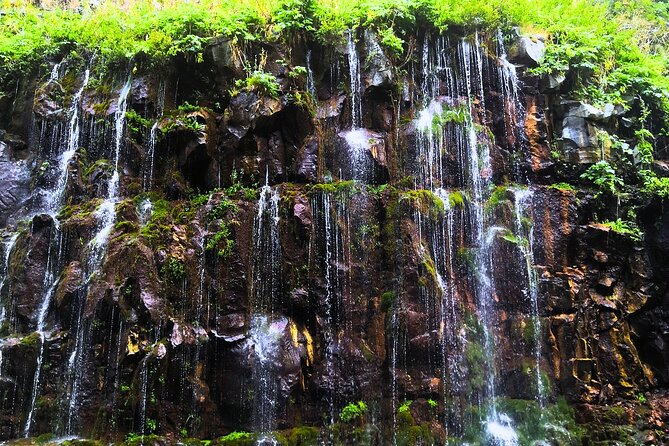 Private Day Tour to Diamond Bridge & Dashbash Canyon From Tbilisi - Tour Highlights