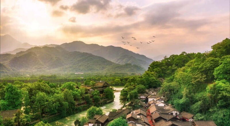 Private Day Tour to Dujiangyan & Mount Qingcheng - Who Will Love This Tour?