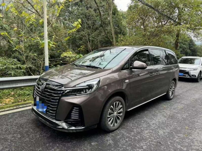 Private Day Tour to Dujiangyan & Mount Qingcheng - Final Thoughts