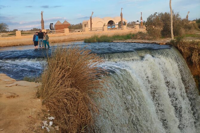 Private Day Tour to El Fayoum Oasis From Cairo - Confirmation and Accessibility