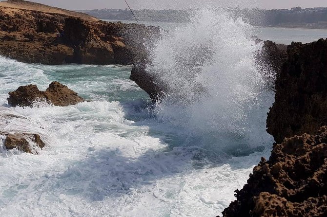 Private Day Tour to Essaouira From Marrakech - Delicious Seafood Restaurants