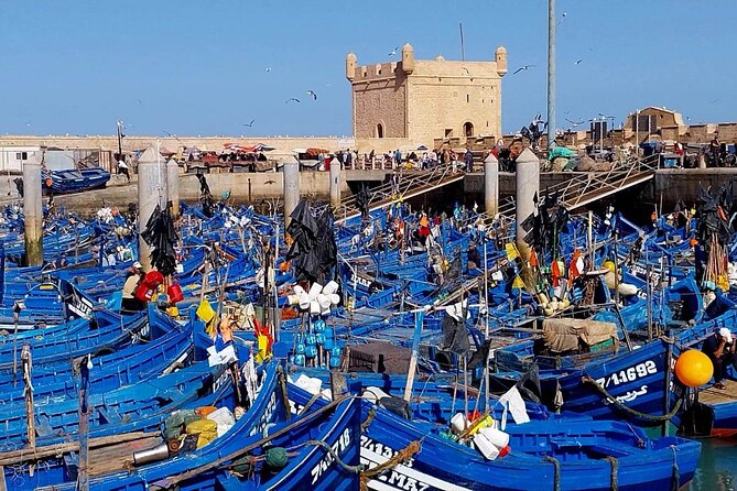 Private Day Tour to Essaouira From Marrakech - Positive Reviews and Ratings