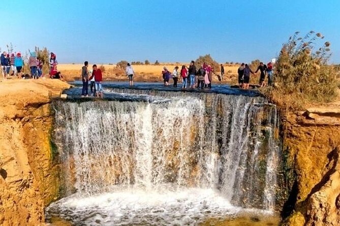 Private Day Tour To Fayoum Oasis. - Pickup and Departure