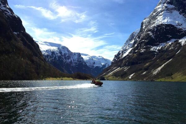 Private Day Tour to Flåm&Rib Sognefjord Safari&Flåm Railway - Frequently Asked Questions