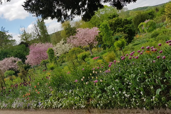 Private Day Tour to Giverny Gardens and Rouen From Paris - Reviews and Ratings