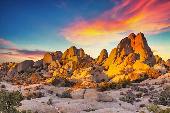 Private Day Tour to Joshua Tree National Park from San Diego - Who is This Tour Best For?