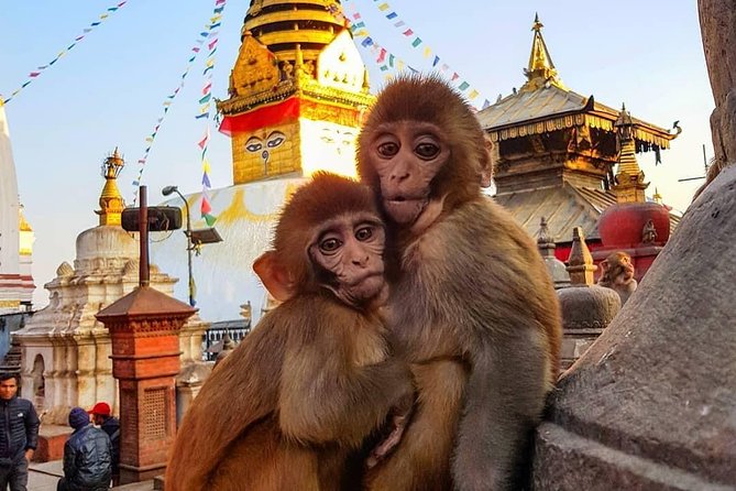Private Day Tour to Kathmandu Durbar Square & Swayambhu Stupa #visitnepal2020 - Excluded Services