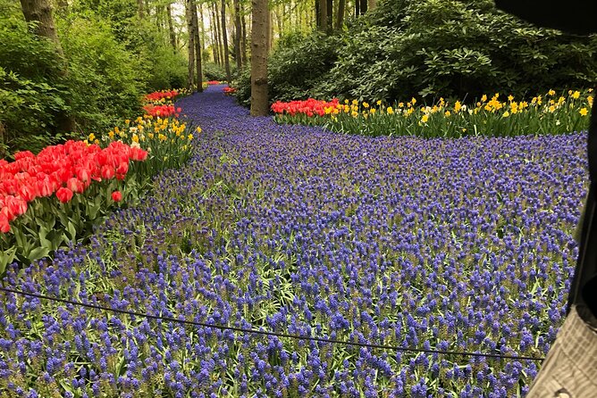 Private Day Tour to Keukenhof Flower Fields and Delft City - Booking and Pricing Information