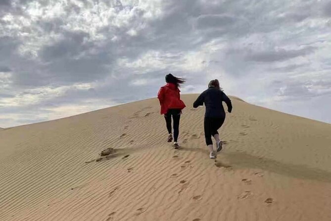 Private Day Tour to Kubuqi Desert From Hohhot With Pick up - Pricing and Booking Information