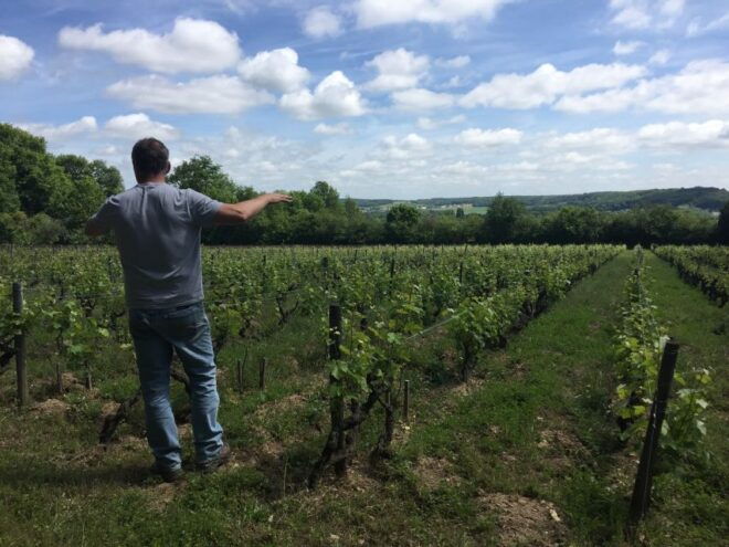 Private Day Tour to Loire Valley Castles & Wines From Paris - Customer Review