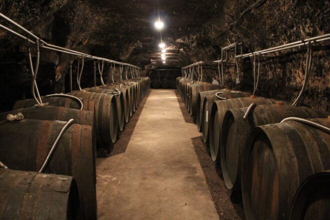 Private Day Tour to Loire Valley Castles & Wines From Paris - Hotel Pick-up and Journey