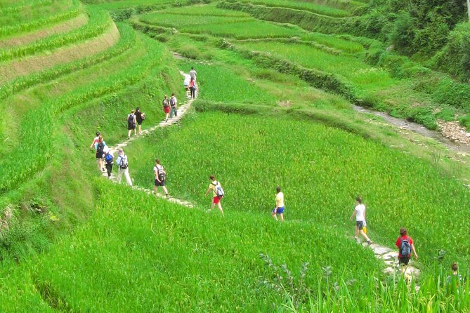 Private Day Tour to Longji Rice Terraces and Minority Villages - Pickup and Meeting Details