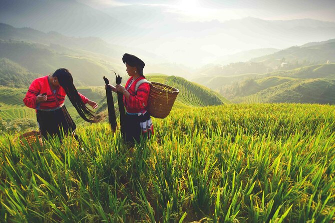 Private Day Tour to Longji Rice Terraces and Minority Villages - Itinerary