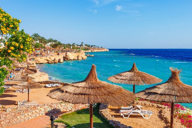 Private Day Tour to Luxor by Car From Hurghada - Cancellation Policy