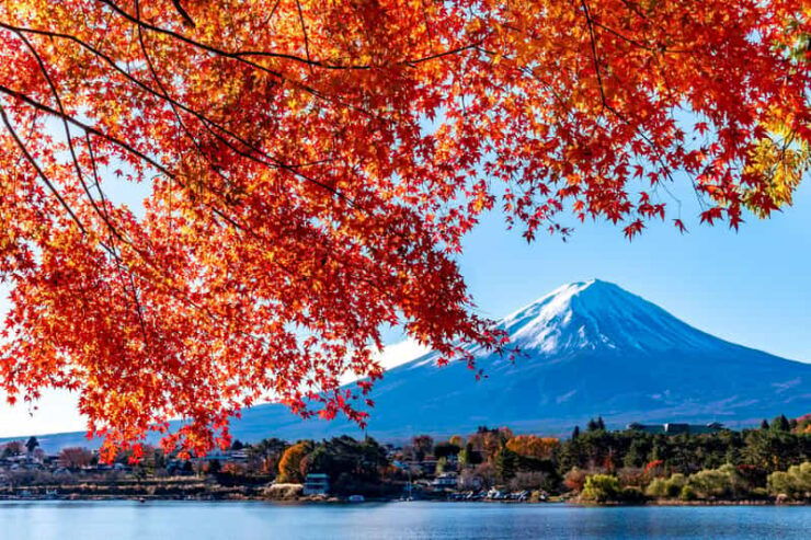 Private Day Tour to Mount Fuji Hakone With English Driver - Good To Know