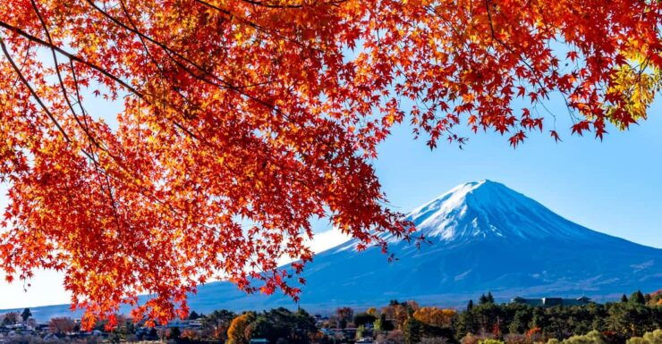 Private Day Tour to Mount Fuji Hakone With English Driver - Itinerary Highlights