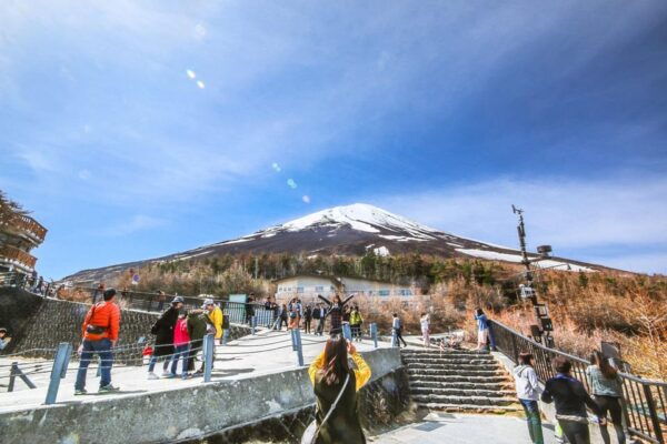 Private Day Tour to Mount Fuji Hakone With English Driver - Optional Stops and Activities