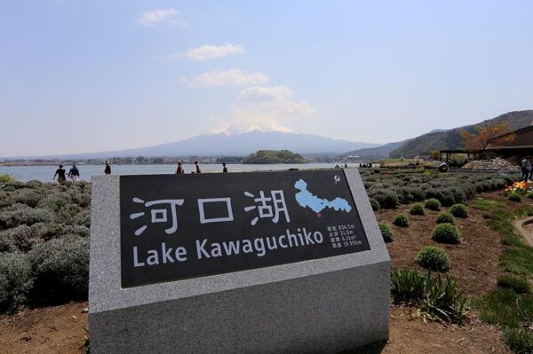 Private Day Tour to Mount Fuji Hakone With English Driver - Important Information