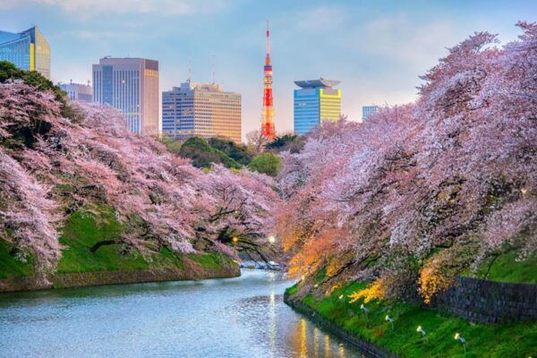 Private Day Tour to Mount Fuji Hakone With English Driver - Frequently Asked Questions