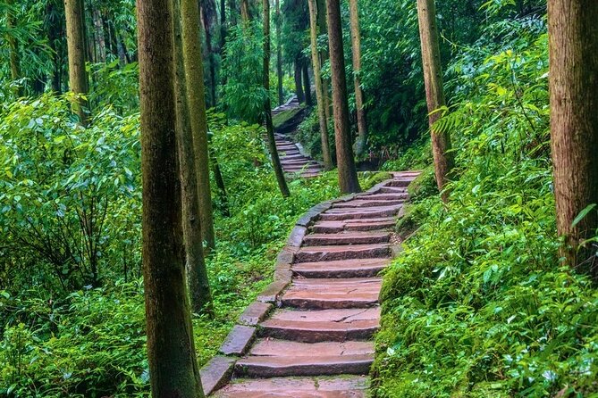 Private Day Tour to Mount Qingcheng Dujiangyan Irrigation System - Additional Information