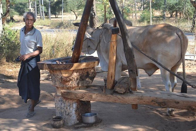 Private Day Tour to Mt Popa - Why This Tour Offers Great Value