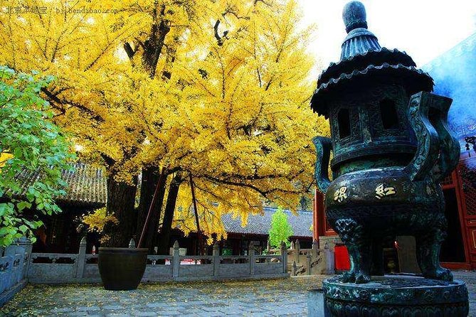 Private Day Tour to Mutianyu Great Wall and Hong Luo Buddhist Temple - Cancellation Policy