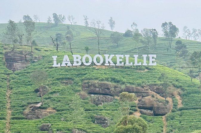 Private Day Tour to Nuwara Eliya Pickup from Kandy - Authentic Experiences from Reviews