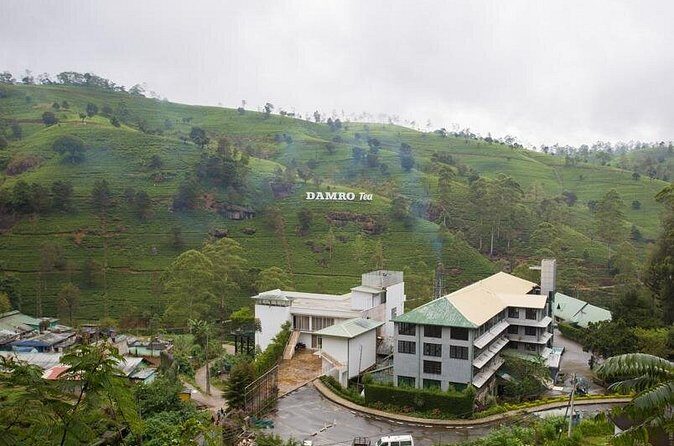 Private Day Tour to Nuwara Eliya Pickup from Kandy - Who Should Consider This Tour?