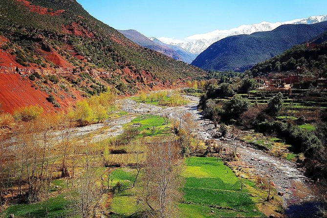 Private Day Tour to Ourika Valley Including Guided Hike and Lunch From Marrakech - Scenic Highlights