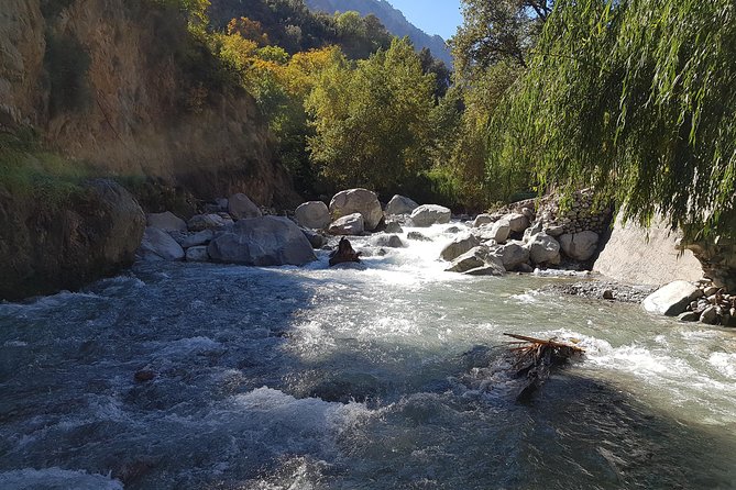 Private Day Tour to Ourika Valley Including Guided Hike and Lunch From Marrakech - Itinerary Details