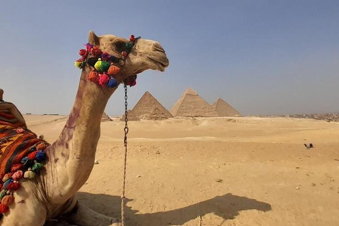 Private Day Tour To Pyramids,camel Ride,egyptian Museum,felucca-lunch Included - Tour Pricing