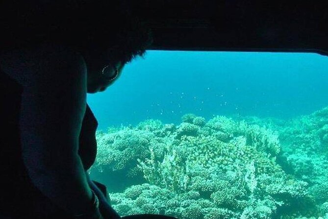Private Day Tour to Red Sea Snorkelling From Luxor - Cancellation Policy