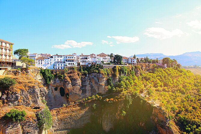 Private Day Tour to Ronda From Malaga by ELECTRIC CAR - Reviews
