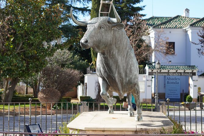 Private Day Tour to Ronda From Malaga by ELECTRIC CAR - Tour Highlights