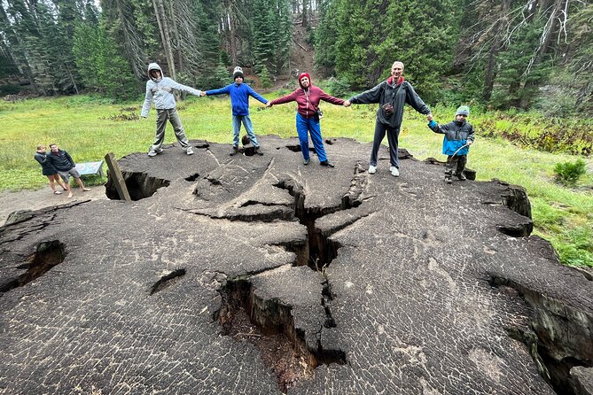 Private Day Tour to Sequoia and Kings Canyon Parks From LA - Itinerary Overview