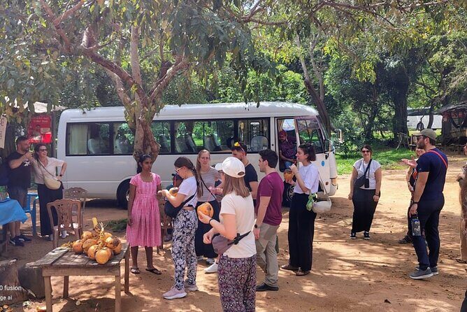 Private Day Tour to Sigiriya & Dambulla cave with Wildlife Safari - The Itinerary in Detail