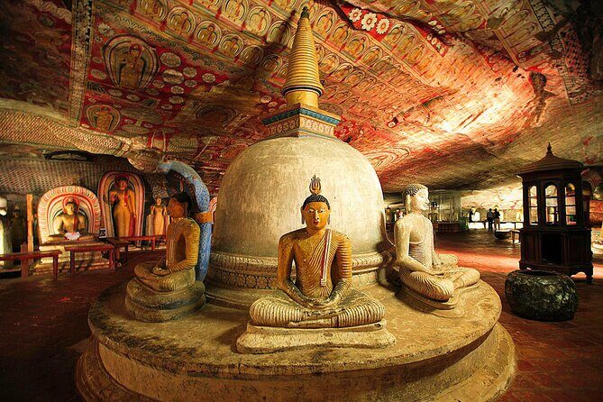 Private Day Tour to Sigiriya & Dambulla cave with Wildlife Safari - Exploring the Itinerary in Detail