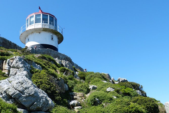 Private Day Tour to the Cape of Good Hope - Reviews