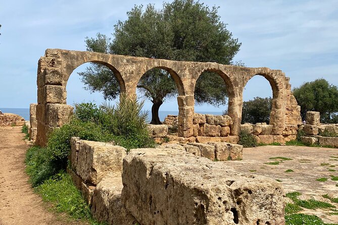 Private Day Tour to the Roman Ruins of Tipaza - Good To Know
