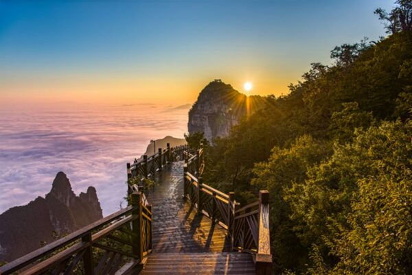Private Day Tour to Tianmen Mountain & Sky Walk&Glass Bridge - Customer Reviews